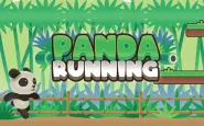 Panda Running