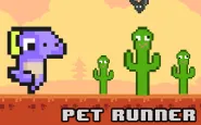 Pet Runner